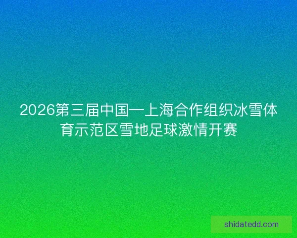 2026第三届中国—上海合作组织冰雪体育示范区雪地足球激情开赛